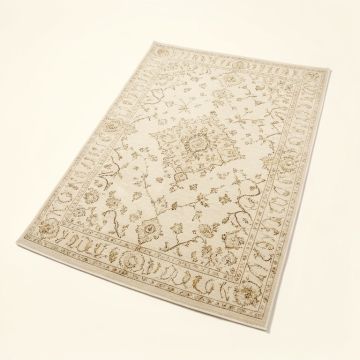 Norcross Ivory Branch Oriental Area Rug (synthetic illustration; no displayed measurements)