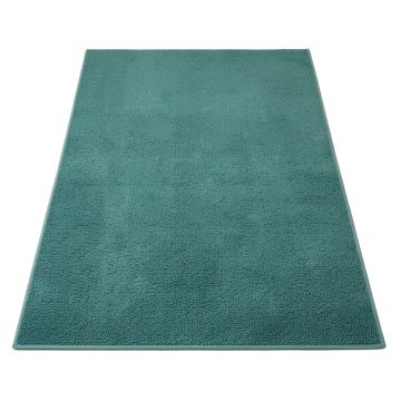 Haupt Vine And Border Textured Weave Teal Indoor/Outdoor Area Rug
