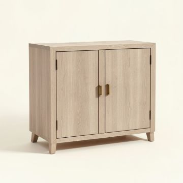 2 Door Accent Cabinet (synthetic illustration; no displayed measurements)