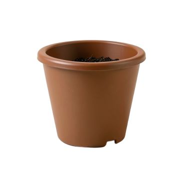 Aashi Self-Watering Plastic Elevated Planter
