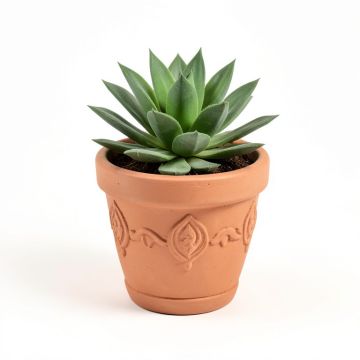 Echeveria In Clay Embellished Plant In Pot (synthetic illustration; no displayed measurements)