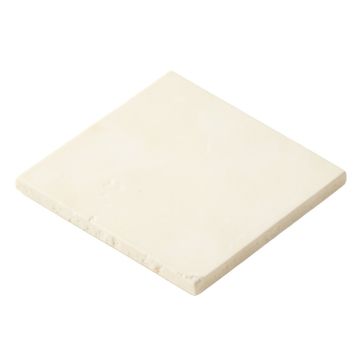 0.75 '' X 0.75 '' Seashell Tile