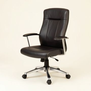 Shapleigh Ergonomic Office Chair (synthetic illustration; no displayed measurements)