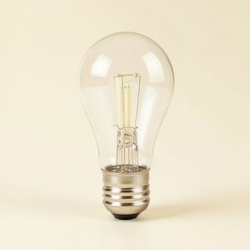 8 Watt ( 60 Watt Equivalent ) , A19 Led , Dimmable Light Bulb , E26/Medium ( Standard ) Base (synthetic illustration; no displayed measurements)
