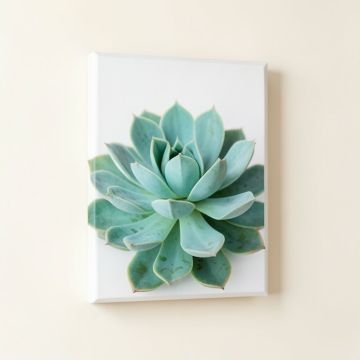 Turquoise Succulent - Wrapped Canvas Photograph Print (synthetic illustration; no displayed measurements)