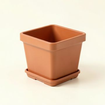 Birch Bridge Empty Planter - Terracotta (synthetic illustration; no displayed measurements)