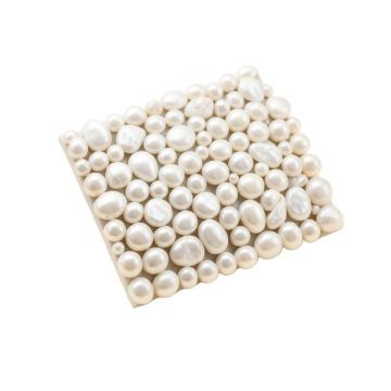 Lokahi 0.39 '' X 0.79 '' Seashell Random Mosaic Wall & Floor Tile