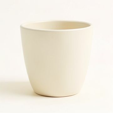 Abramson 2-Piece Ceramic Pot Planter (synthetic illustration; no displayed measurements)