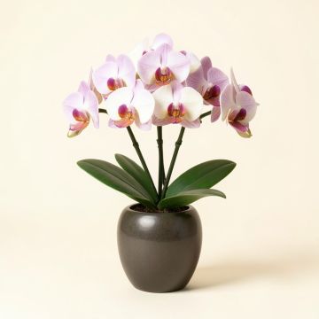 Artificial Cymbidium Orchids Floral Arrangement In Vase (synthetic illustration; no displayed measurements)