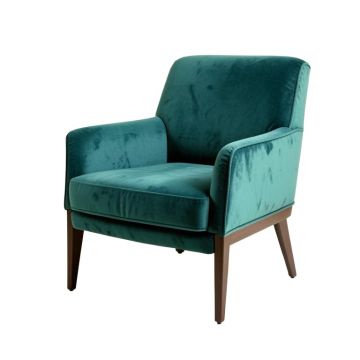 Accent Chair Living Room/Bed Room, Modern Leisure Chair