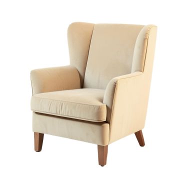 Sturm 36.75 '' Wide Velvet Wingback Chair (synthetic illustration; no displayed measurements)