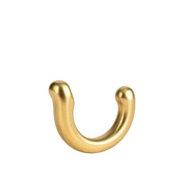 Wyoming Shower Hook In Gold