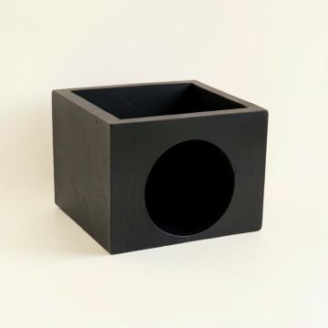 Aspen Bridge Wall-Mounted Cat Perch - Black (synthetic illustration; no displayed measurements)