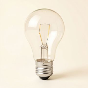 Incandescent Light Bulb (synthetic illustration; no displayed measurements)