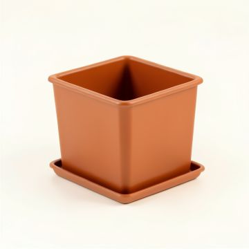 Hazel Arc Empty Planter (synthetic illustration; no displayed measurements)