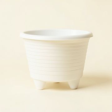 Oak Brook Empty Raised Planter - White (synthetic illustration; no displayed measurements)