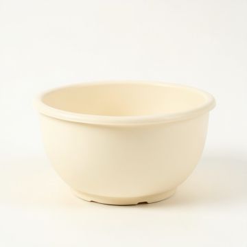 Briar Canyon Empty Planter - Ivory (synthetic illustration; no displayed measurements)