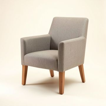 Josune Arm Chair (synthetic illustration; no displayed measurements)