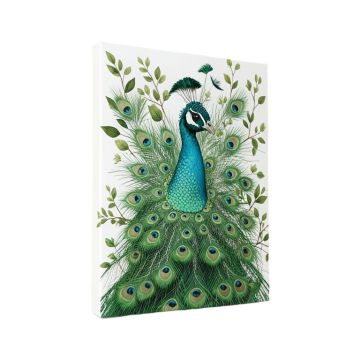 Peacock Print On Canvas