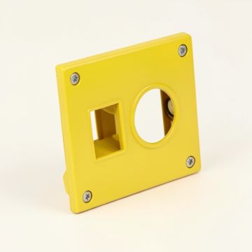 California , San Diego , Hybrid Sunflower 2-Gang Toggle Light Switch Wall Plate (synthetic illustration; no displayed measurements)