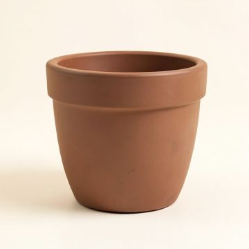 Gelnett Resin Pot Planter (synthetic illustration; no displayed measurements)