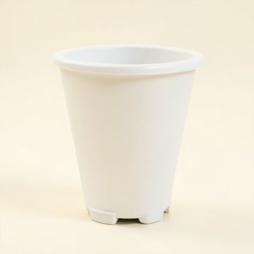 Cove Canyon Empty Railing Planter With Integral Brackets - White (synthetic illustration; no displayed measurements)