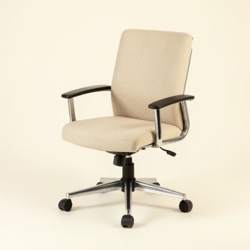 Adrianny Task Chair (synthetic illustration; no displayed measurements)