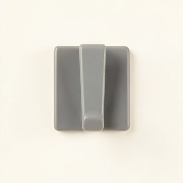 Glen Canyon Wall-Mounted Robe Hook - Gray (synthetic illustration; no displayed measurements)
