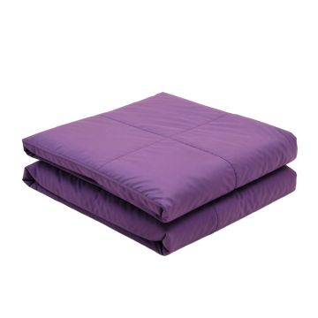 Freeburg Purple Duvet Cover Set