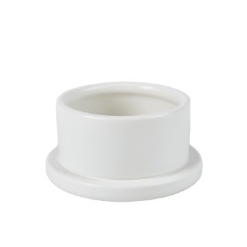 Cedar Branch Empty Candle Holder - White