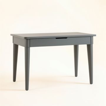 Bay Field Writing Desk - Gray (synthetic illustration; no displayed measurements)