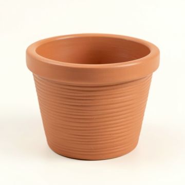 Juniper Bend Empty Planter - Terracotta (synthetic illustration; no displayed measurements)