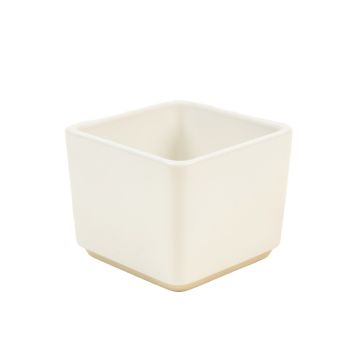 Fern Bridge Empty Planter - White