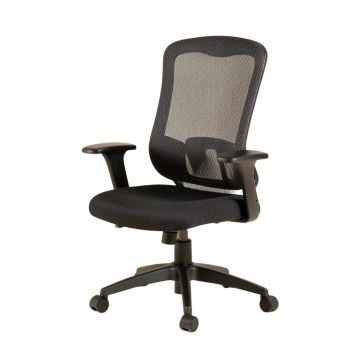 Dalary Mesh Ergonomic Home Office Task Chair