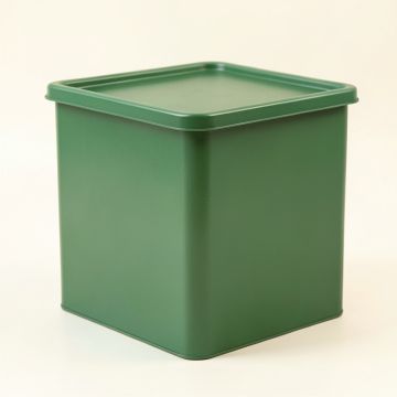 Holly Bend Closed Outdoor Storage Box - Green (synthetic illustration; no displayed measurements)