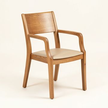 Cantero Wood Solid Wood Dining Chair (synthetic illustration; no displayed measurements)