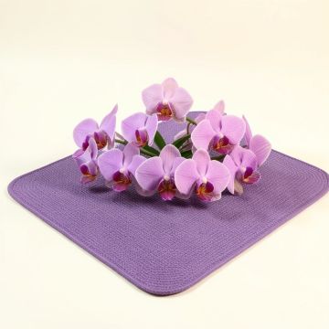 Orchids 3 Colors Blooming Flourishing Environment Theme Cream Violet Dried Rose Kitchen Mat (synthetic illustration; no displayed measurements)