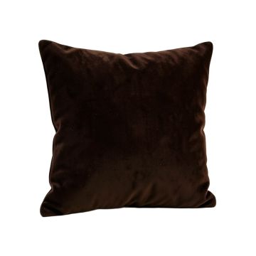 Square Velvet Throw Pillow