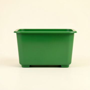 Pine Branch Empty Raised Planter - Green (synthetic illustration; no displayed measurements)