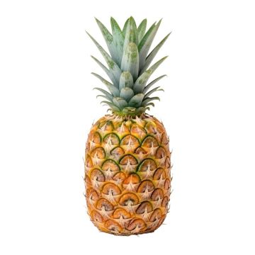 Pineapple