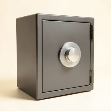 All Steel Safe With Dual-Lock (synthetic illustration; no displayed measurements)