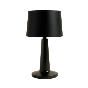 Testerman 26 '' Black Table Lamp Set