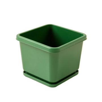 Linden Branch Empty Planter - Green