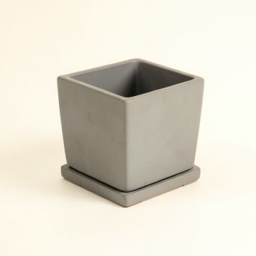 Fern Dell Empty Planter - Gray (synthetic illustration; no displayed measurements)