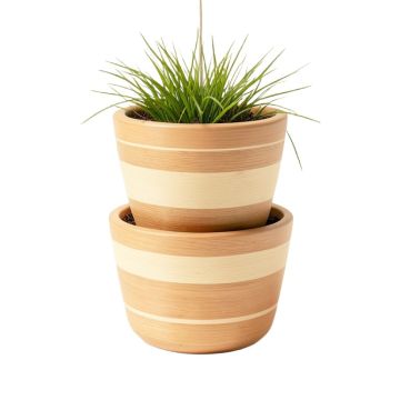 2 Tier Seagrass Hanging Planter