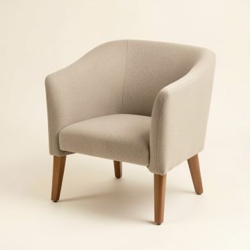 Briceno Upholstered Dining Chairs (synthetic illustration; no displayed measurements)