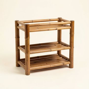 3 Pair Shoe Storage (synthetic illustration; no displayed measurements)