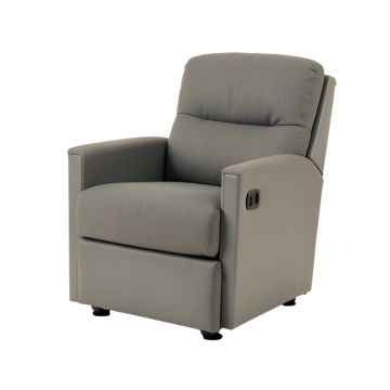 Diethelm 36.7 '' Wide Power Lift Assist Home Theater Recliner
