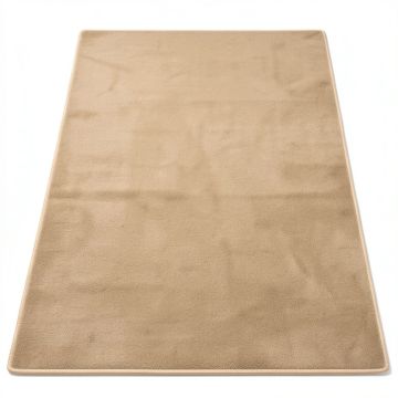 Aster Natural Area Rug (synthetic illustration; no displayed measurements)