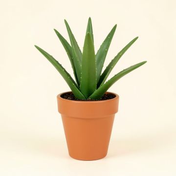 Silk Greenery Aloe Desk Top Plant In Pot (synthetic illustration; no displayed measurements)